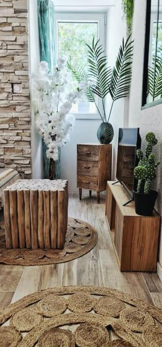#New#Terrasse Sud Ouest#Pied De La Cite #1 Apartamento Carcassonne Exterior foto
