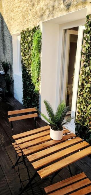 #New#Terrasse Sud Ouest#Pied De La Cite #1 Apartamento Carcassonne Exterior foto