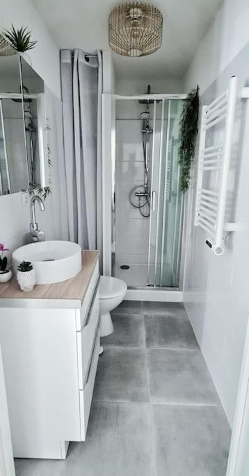 #New#Terrasse Sud Ouest#Pied De La Cite #1 Apartamento Carcassonne Exterior foto